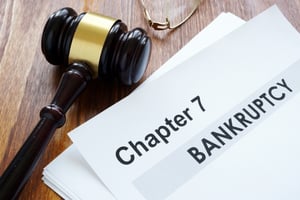  Chapter 7 Bankruptcy