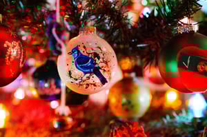 shutterstock_2716560285