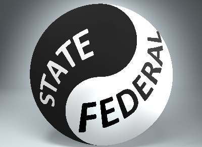 A Yin-Yang symbol, with the word STATE written in white on the black portion and the word FEDERAL written in black on the white portion, posing the question, What are non-exempt assets in bankruptcy?