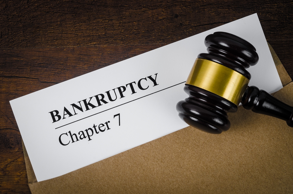 Chapter 7 Bankruptcy Case