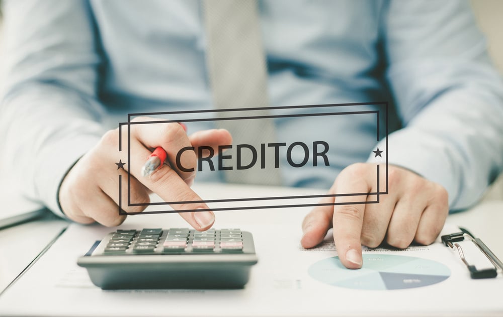 BUSINESS CONCEPT: CREDITOR